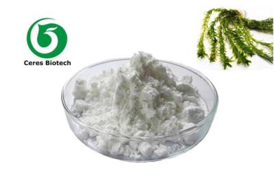 China Health Care 85% 98% Natural Fucoidan Extract Powder for sale