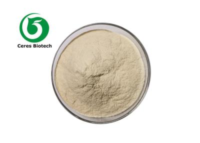 China Anti Inflammatory Nautral Protease Serrapeptase Enzyme Serrapeptase Powder for sale