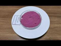 Healthy Blueberry Fruit Powder Health Care Improving Eyesight Strengthening Heart