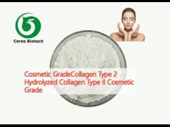 Cosmetic GradeCollagen Type 2 Hydrolyzed Collagen Type II Cosmetic Grade