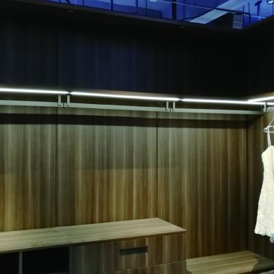 China Modern switch cabinet LED included special dc12v wardrobe closet light cabinet light for sale