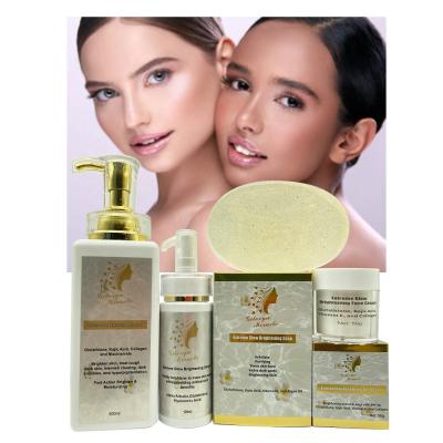 China Brightening Body Whitening Skin Care Set Visibly Brighten Moisturize Fade Dark Spots Blemish Clearing Anti Aging Treat Dark Skin for sale