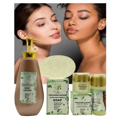 China Body Accept Just Added OEM Private Label Formula Brighter Skin Care 4PC Set For Remove Melanin Smooth Damages Lighter Skin for sale