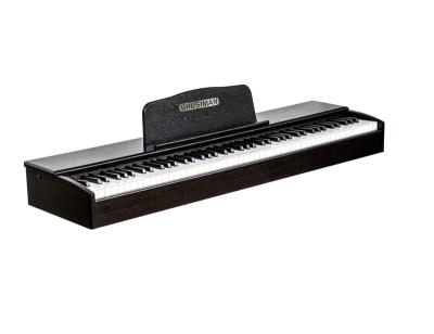 China Affordable Digital Cusmoized China Midi Piano 88 Keys Learning Insrtument For Kids for sale