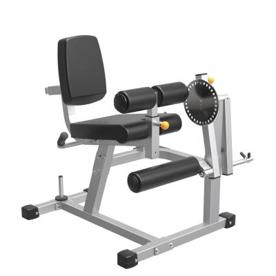 China Steel Leg Extension/Leg Curl Machine Preacher Curl Bicep Curl Machine Bicep Curl Machine Gym Equipment for sale