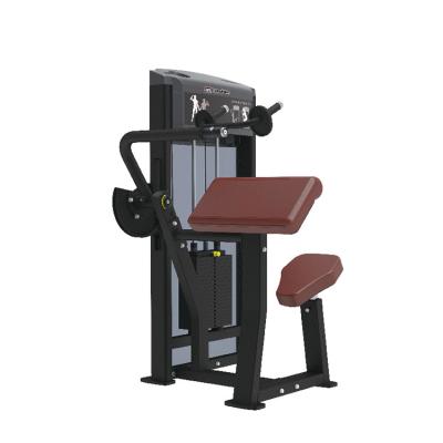 China Quiet And Environmentally Friendly Double Arm Extension Equipment Fitness Arm Curl Triceps Extension Shower Extension Arms Box1: 1465*815*210 Box2: 1035*695*270 Box3: 1205*685*130 for sale