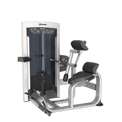 China High Quality Roman Chair Multi Back Gym Hyper Back Machine Box1:1515*985*210 Box2:1295*905*330 Box3:1415*695*220 for sale