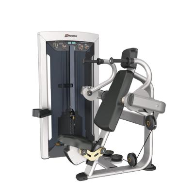 China High Quality Commercial Tricep Gym Machine Tricep Dip Machine Steel Biceps Triceps Machine for sale