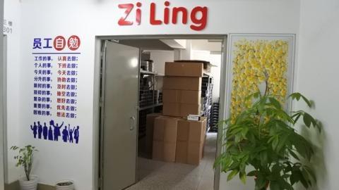 Verified China supplier - Guangzhou Ziling Trading Co., Ltd.