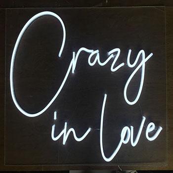 China Customization neon sign crazy in love custom sign neon sample led letter light offering electronic channel name for sale