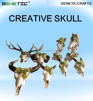 China SUCCULENT PLANT DECORATION UNIQUE DESIGN from Europe ON DIFFERENT ANIMAL SKULLS for sale