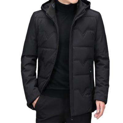 China 2021 Viable Middle-aged Men's Down Winter Short Detachable Jacket Cotton-padded Casual Jackets for sale