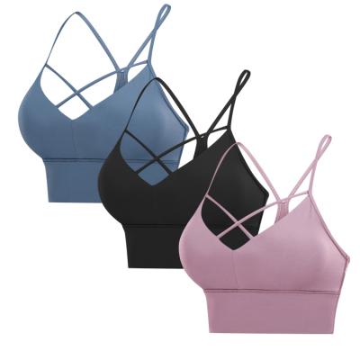 China High Print Breathable High Neck Fitness Full Coverage Yoga Stretch Bra Custom Size EU/USA Logo Sports Bra For Women for sale