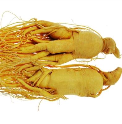 China Best-selling dry health care export, nutritious and nourishing ginseng products for sale