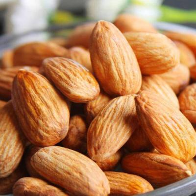 China Dried Wholesale Premium Xinjiang Almond Nut Kernels for sale