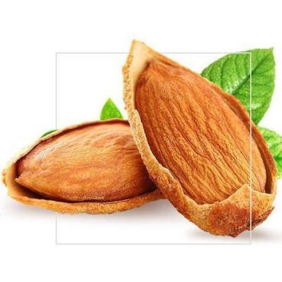 China Hot Selling Cheap Dried Almond Nuts Kernels for sale