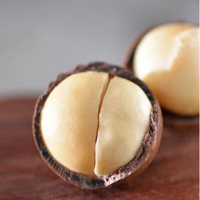 China Wholesale Australia Hazel Dried Raw Salted Roasted Maca Sprinkles Shell Food Healthy Macadamia for sale