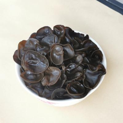 China Return factory price hot-selling dry white dried black fungus for sale