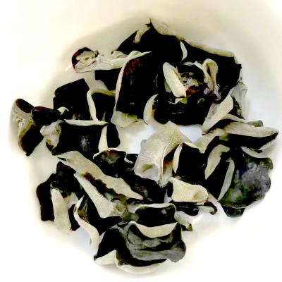 China Dried Hot Sales Cultivated Fresh White-backed Black Fungus Mushroom Export Grown On The Basswood for sale