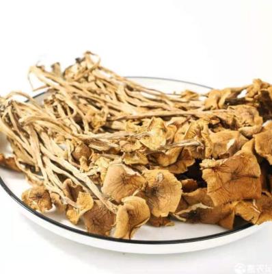 China AEGERITA Dry Agrocybe is sold in large quantities as a delicious tonic for sale