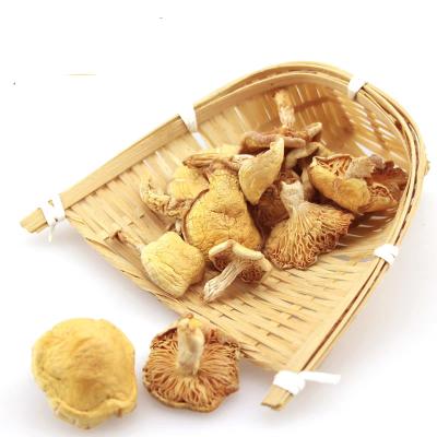 China High quality dried yellow mushrooms, sold in large quantities, natural sun drying for sale