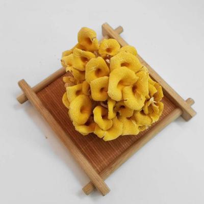 China Dry Wild Mushroom Dry Chanterelle With Wholesale Price for sale