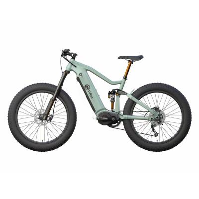 China Aluminum Alloy 48V 1000W Electric Bike With 20