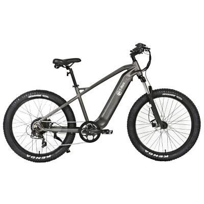 China Aluminum Alloy 250-350-500-750-1000-1500W Electric Motor Bicycle Mountain Bike Built-in Electric Battery for sale