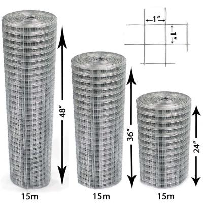 China Anti - Corrosion Hot Dipped Galvanized Construction Welded Rabbit Bird Cage Stainless Steel Wire Mesh for sale