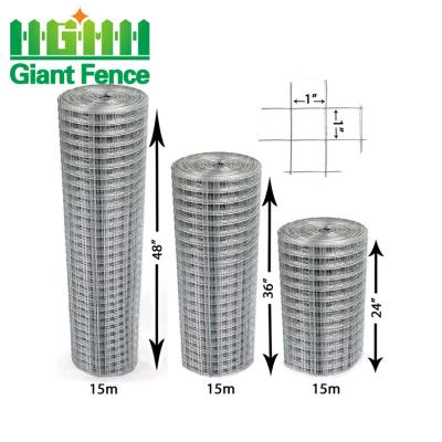 China Cages Welded Galvanized PVC Fencing Net Iron Wire Mesh for sale