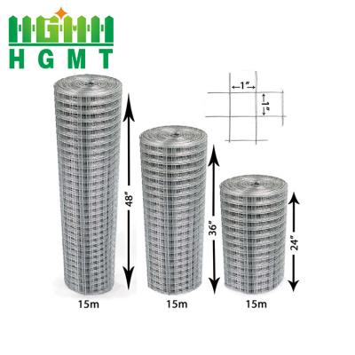 China Fence Mesh Rabbit Bird Cage Stainless Steel Galvanized Welded Wire Mesh for sale