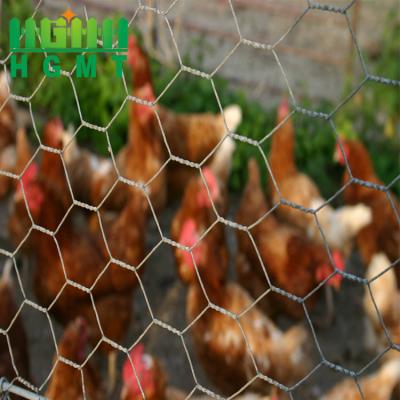 China Cheap Price Gabions Chicken Cage Cage Fence Wire Mesh Rolls Hexagonal Wire Mesh Manufacturing for sale