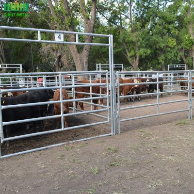 China Easily Assembled Used High Tensile Cattle Fence Panels For Sale for sale