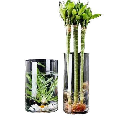 China Eco-friendly Transparent Clear Floor Home Flower Arrangement Glass Vase In Factory Price Decoration for sale