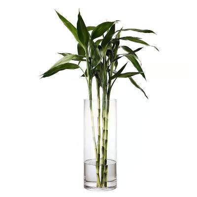 China Eco-Friendly Household Transparent Cylinder Home Decoration Flower Vase Modern Tall Glass Cylinder Glass Vases for sale