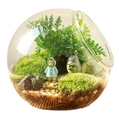 China Europe wholesale transparent oblique glass micro landscape round flower vase hydroponic glass aquarium for sale