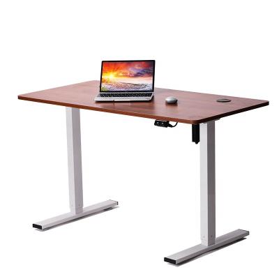 China Wholesale Cheap Single Motor Adjustable (Height) Stand To Stand Office Home Office Computer Table Electric Height Adjustable Standing Desk for sale