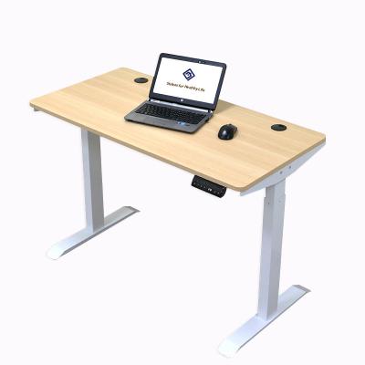 China (Size) Manufacturer OEM ODM Sit Stand Dual Motor Height Adjustable Professional Adjustable Standing Desk for sale