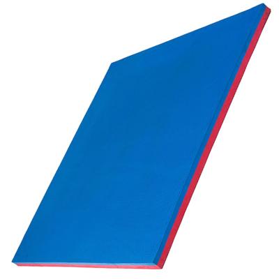 China 2022 Fashion Trend EVA Taekwondo Fitness Mat Eva Foam Exercise Mat 100Cm Eva Foam Soft Mat for sale