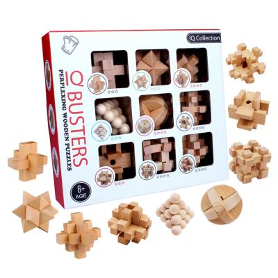 China Educational Wooden Toy Hot Sale Intelligence 3D Brain Puzzle Kong Ming Lock IQ Puzzle for Children Play for sale