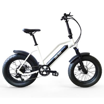 China Europe aluminum alloy 20 inch 36V350W popular folding parent-child electric bicycle fat tire electric all terrain spider bicycle for sale