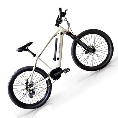 China Aluminum Alloy Electric Fat Bike 26 Inch Folding Bike Inner Tube 250w 36v Battery Electric Heavy Duty Electric Bicycle for sale