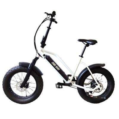 China Popular Electric Bicycle Sport Aluminum Alloy 20inch Electric Bicycle Racing 36V 350W Electric Mountain Bike for sale