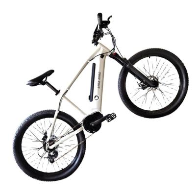 China Al Alloy Tire Bikes 26 Inch Electric Mountain Bike E-Bike For Adults Bike Electric Mountain Bike for sale