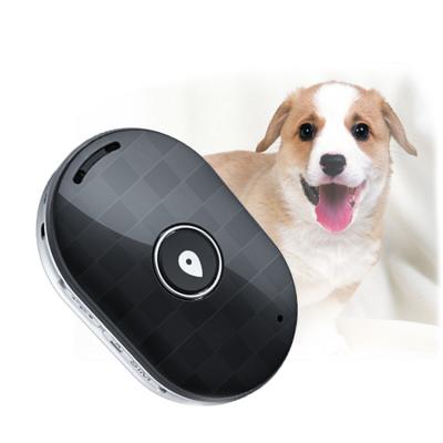 China Anti-lost Alarm with Google Maps SOS Alarm GSM GPRS Q60 Mini Small Dog Pet Gps Tracker for sale