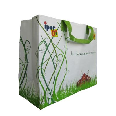 China Promotional Foldable Plastic PP Woven Shopping Bag Eco - Friendly for sale