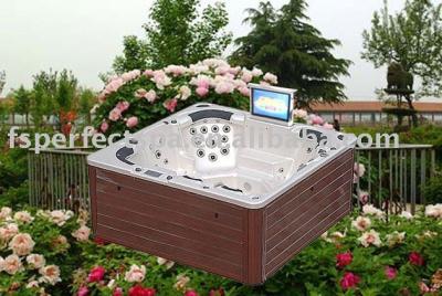 China Massage 8 People TV Spa Tub for sale