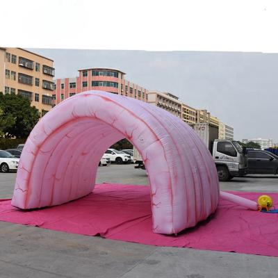 China Customized Popular  design advertising intestine tunnel inflatable colon tent for sale