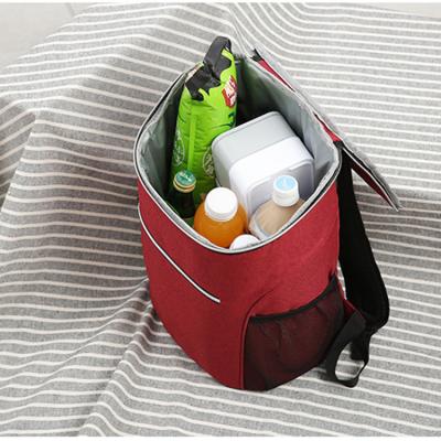 China Large Cooler PEVA Backpack Custom Outdoor Waterproof Picnic Backpack Solid Color Cooler Bag for sale