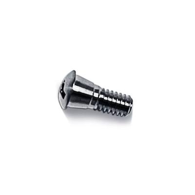 China High Quality Direct Selling Titanium Prices High Quality Micro Orthodontic Implant Titanium Screws for sale